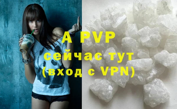 винт Абаза