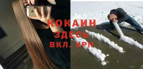 винт Абаза